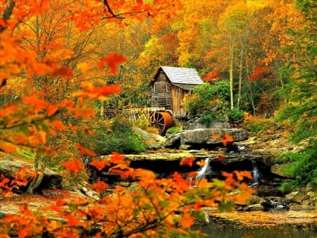 Autumn  Mills - cottage, autumn, trees, mill, nature, fall, forest, river, leaves