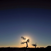 Arizona Sunset