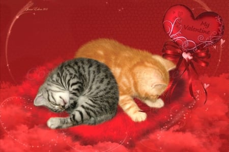 Valentine Kitties - valentines day, sweet, Snuggle, kittens, Cats, red, valentine, adorable, Cozy