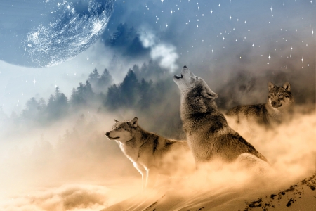 Howling Wolves - animal, stars, night, predator, moon, wild, beast, wolfs, gray