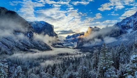 Winter in Yosemite National Park - Mountain, Winter, Tree, Nature