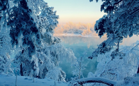 Wintertime - trees, snow, sunshine, landscape