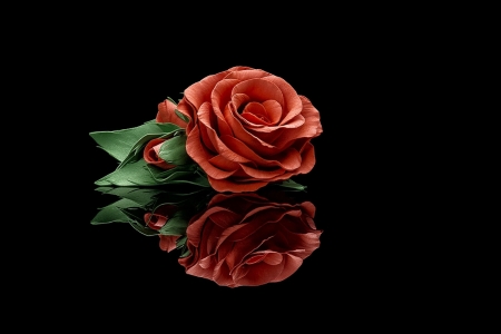 Rose - trandafir, reflection, red, black, rose