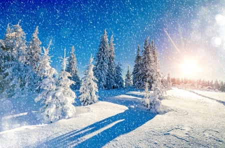 Snowy landscape - trees, ski, winter, snowflakes, beautiful, snow, landscape, slope, nsowfall, sunrise, mountain, snowfall, sun, sky