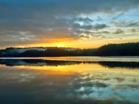 Mist Morning - morning, trees, shore, mist, nature, reflection, clouds, river, sunrise