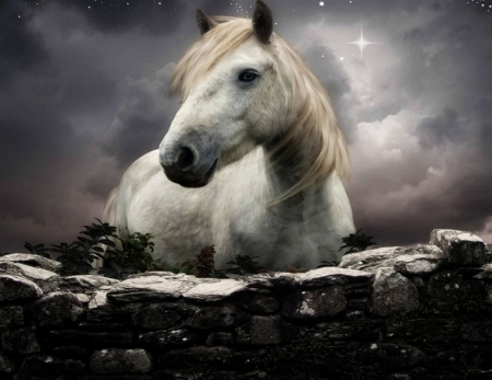 â“—â“žâ“¡â“¢â“” - white, sky, horse, wall