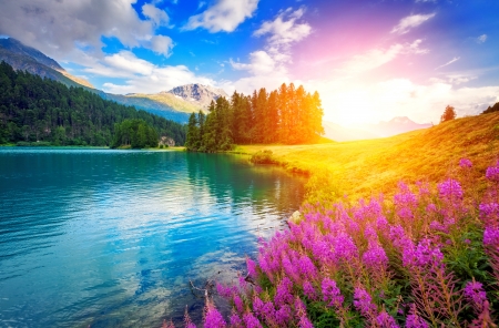 Fantastic azure alpine lake Champfer - Swiss, fantastic, Alps, beautiful, scene, resort, reflection, azure, flowers, glow, rays, picturesque, lake, sun