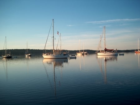 Morning in Islesboro - morning, maine, water, sailboats