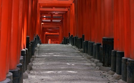 Fushimi Inari Shrine - gate, fox, kyoto, shrine, japan, inari, red, temple, torii, japanese