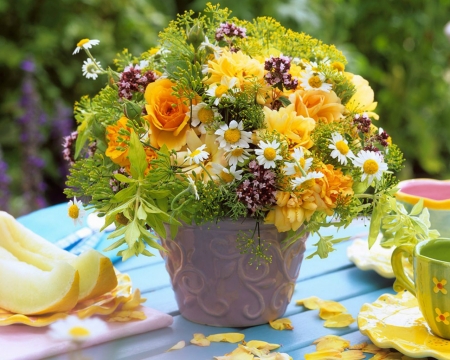 Lovely Flowers - flowers, container, bloom, petals