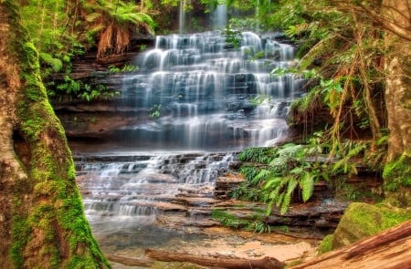 Junction falls - junction, falls, trees, cascades, mountain, forest, beautiful, waterfall