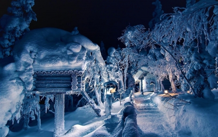 Winter Night - winter, nature, night, snow