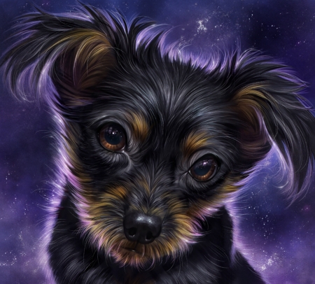 Puppy - lusa, dog, sweet, black, fantasy, tamberella, purple, cute, caine, puppy, art, luminos