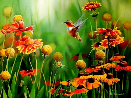 Humming bird - nature, humming, green, bird, flower