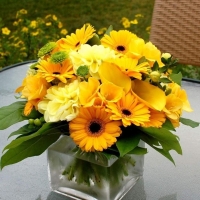 Yellow Flowers in Vase