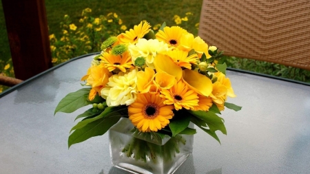 Yellow Flowers in Vase - nature, yellow, gerbera, flowers, vase