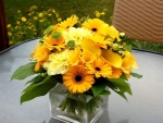 Yellow Flowers in Vase