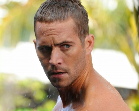 Paul Walker - man, wet, green, actor, summer, paul walker