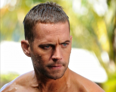 Paul Walker - man, wet, green, actor, summer, paul walker