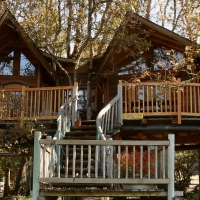 huge tree house