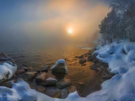 Misty Lake - trees, winter, landscape, sunrise, forest, nature, mist, cold, lake