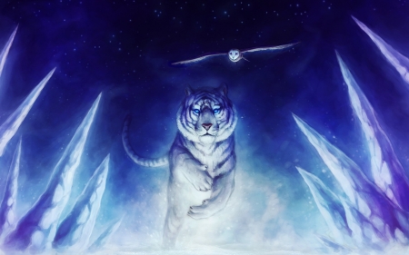 Tiger and owl - abstract, owl, tiger, blue