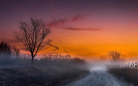 Winter Evening - sky, landscape, sunset, colors, road, mist