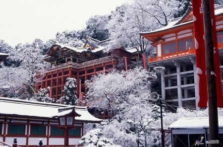 Yutoku Inari Shrine