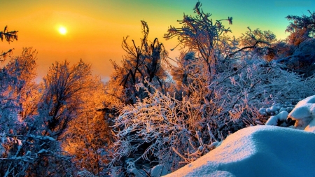 Winter Sunset - tres, ice, season, sky, winter, sunset, nature, snow, twigs