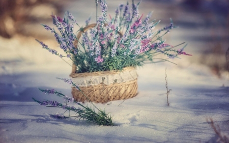 â™¥ - winter, abstract, basket, photography