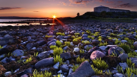 Rolling Stones - calm, sunny, sunset, nature, grove, stones, rocks