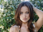 Olivia Wilde