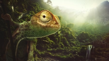 Chameleon - green, animal, reptile, fantasy, creative, chameleon