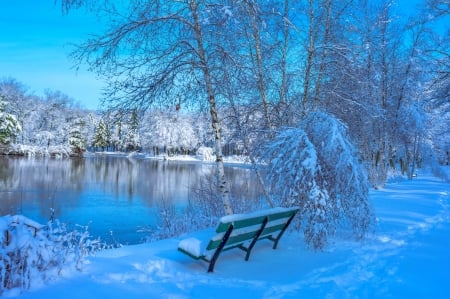 Winter view - ice, lake, landscape, trees, winter, bench, view, forest, reflection, frost, snow, beautiful, rest, pond