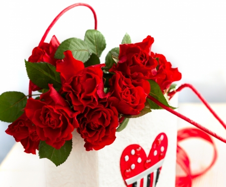 Happy Valentine's Day! - white, red, card, flower, rose, valentine