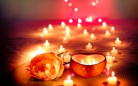 Candles - holiday, bokeh, rose, candles