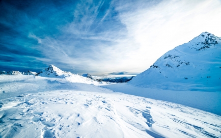 Winter - winter, nature, cold, snow