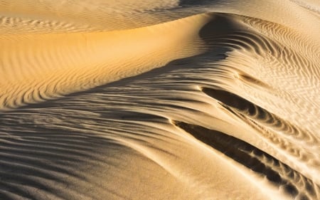 Dunes - nature, beach, sand, dune