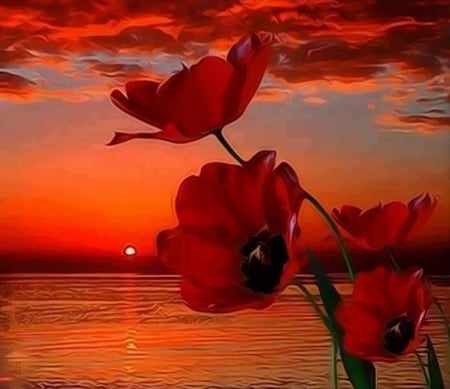 Red Sunset - nature, beauty, photography, red, sunsets