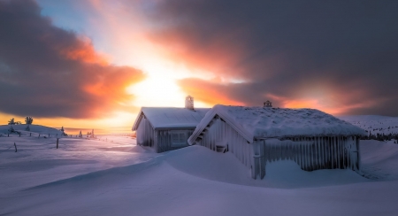 Winter Scenery - winter, nature, snow, sun