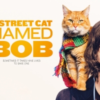 A Street Cat Named Bob (2016)