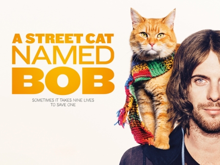 A Street Cat Named Bob (2016)