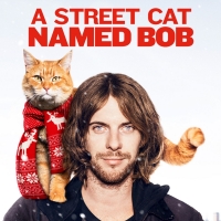 A street cat named Bob (2016)