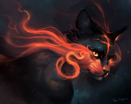 Pyro - pyro, cat, pisica, black, fire, fantasy, art, rajewel, luminos, orange