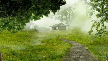 Pagoda - japan, nature, mist, china, field, pagoda