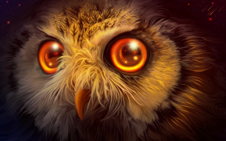 Owl mistery - eyes, fantasy, pasare, bird, art, luminos, orange, owl, exobiology