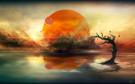 Sunset - moon, water, planet, reflection, orange, tree, fantasy, sunset, luminos, luna