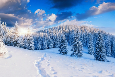 Winter landscape - rays, sky, mountain, trees, landscape, sun, winter, glow, forest, frost, snow, beautiful