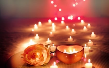 â™¥ - holiday, rose, flower, candles