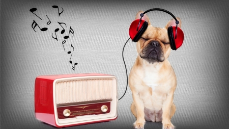 ♪ ♫ let's play de music♪ ♫ - music, headphones, radio, humor